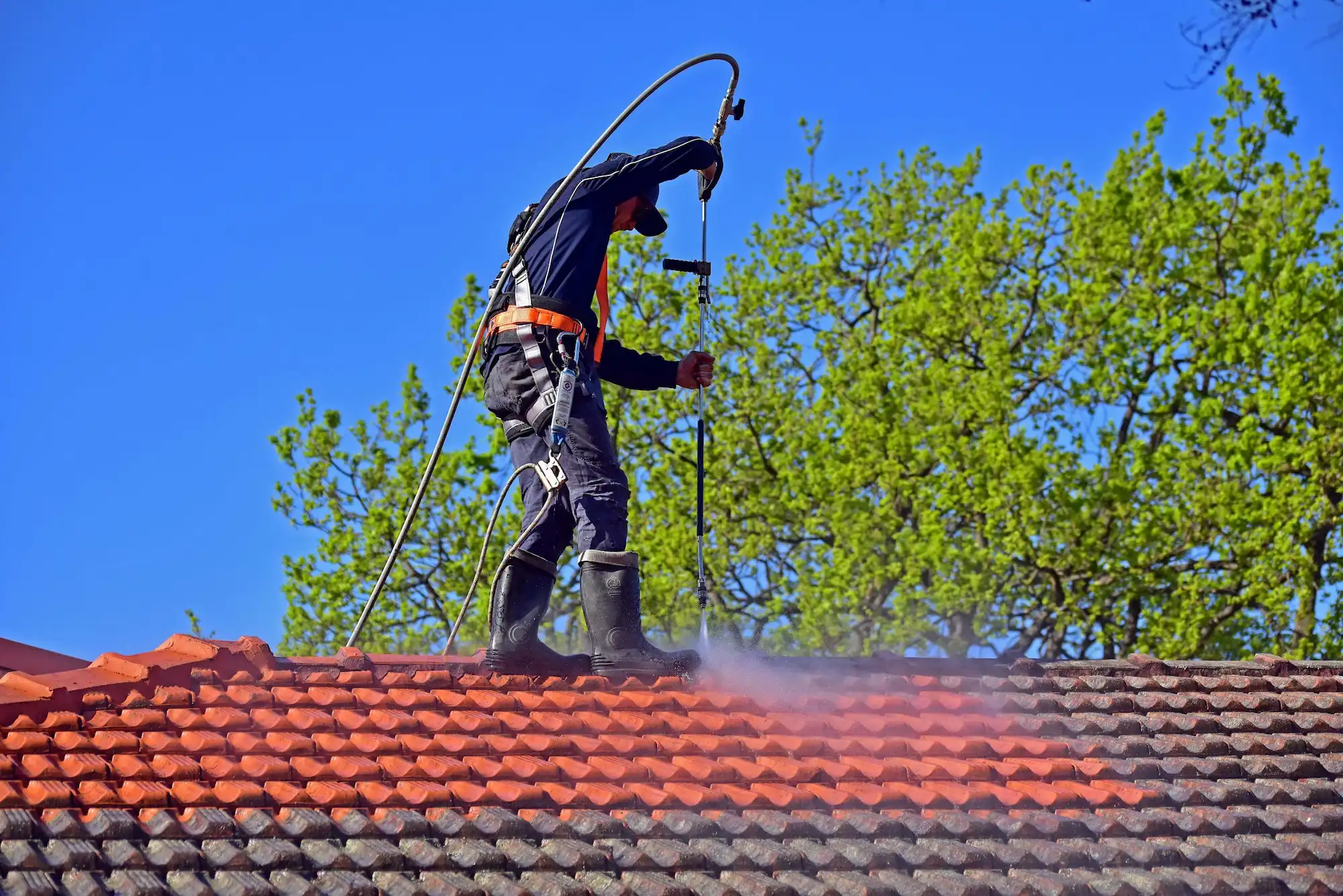 Roof Cleaning